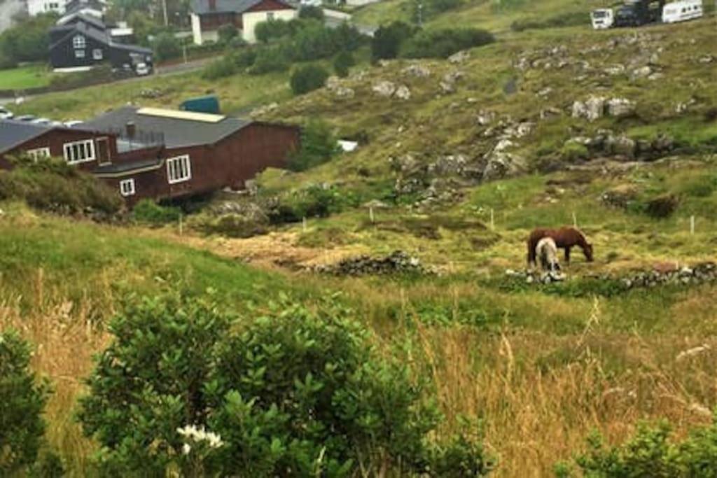 Hyggelig lejlighed ved åen - flot udsigt Tórshavn Eksteriør billede